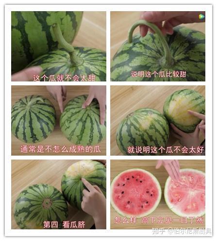 吃瓜哪个视频好看啊免费观看,盘点全网最受欢迎的瓜界佳作