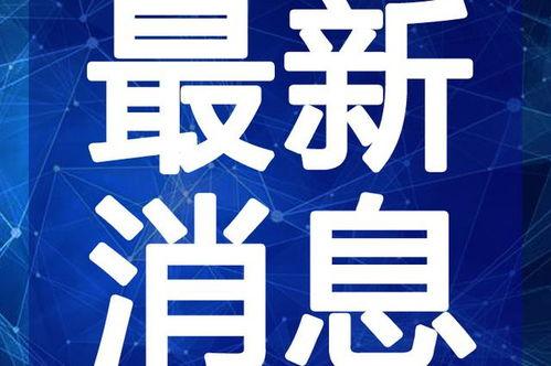 桑植新闻爆料最新视频播放,精彩瞬间回顾