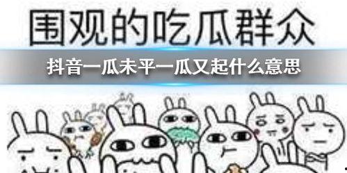 吃瓜群众免费抖音,带你领略短视频新潮流