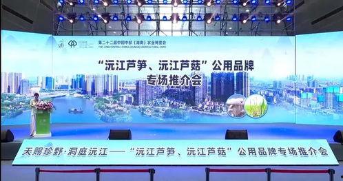 沅江新闻爆料事件最新,真相追踪与舆论漩涡